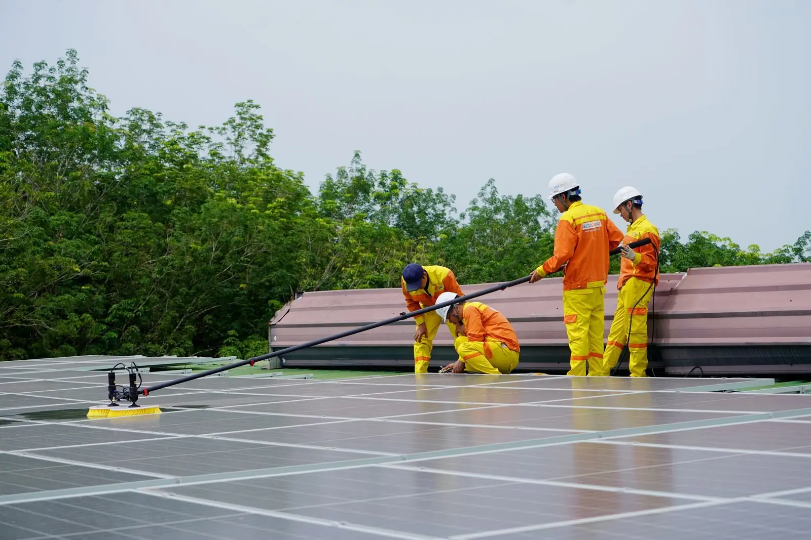 Zonnepanelen schoonmaken: is het nodig en hoe doe je het veilig?